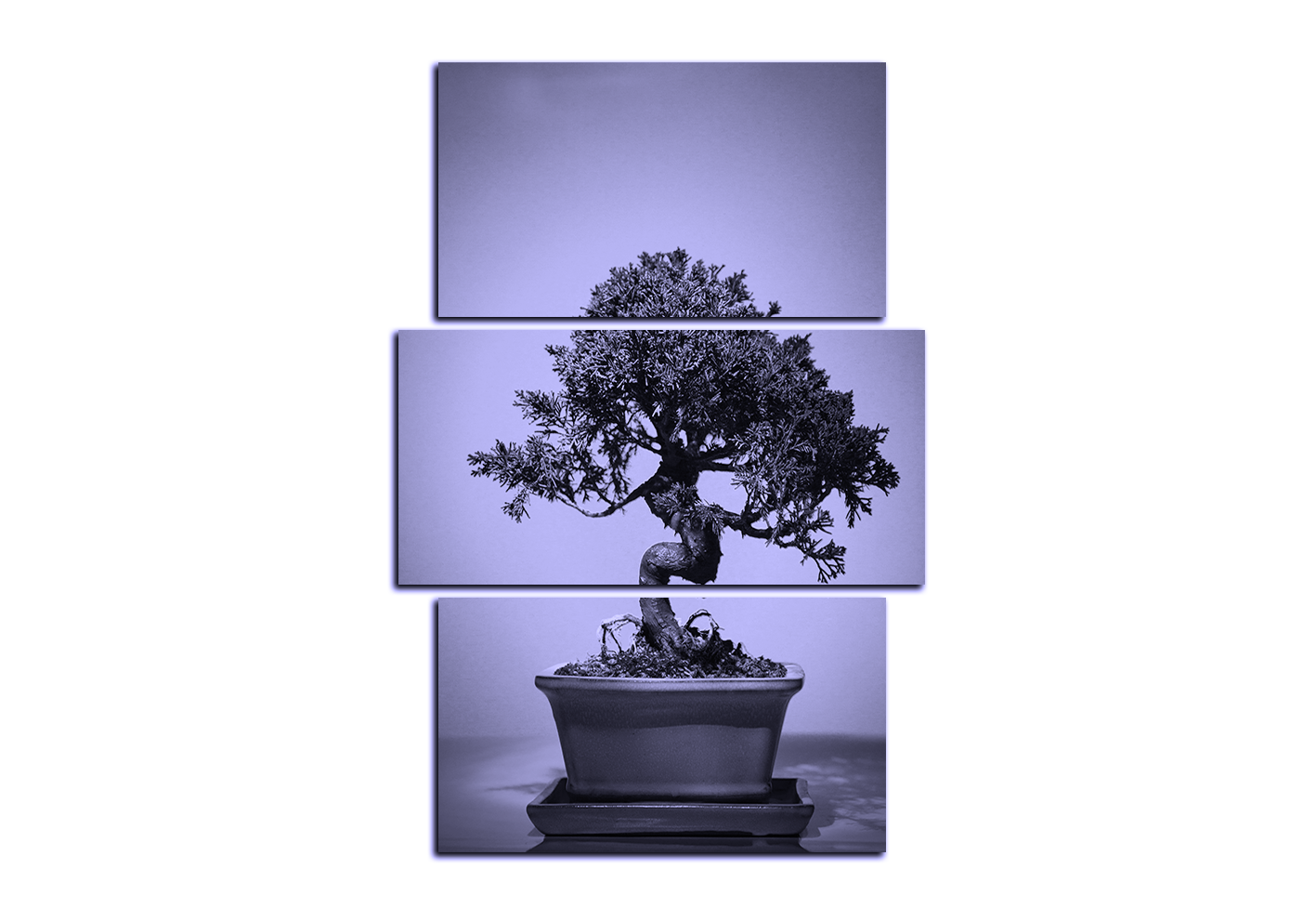 Obraz na plátně - Bonsai - obdélník Obraz na plátně - Bonsai - obdélník